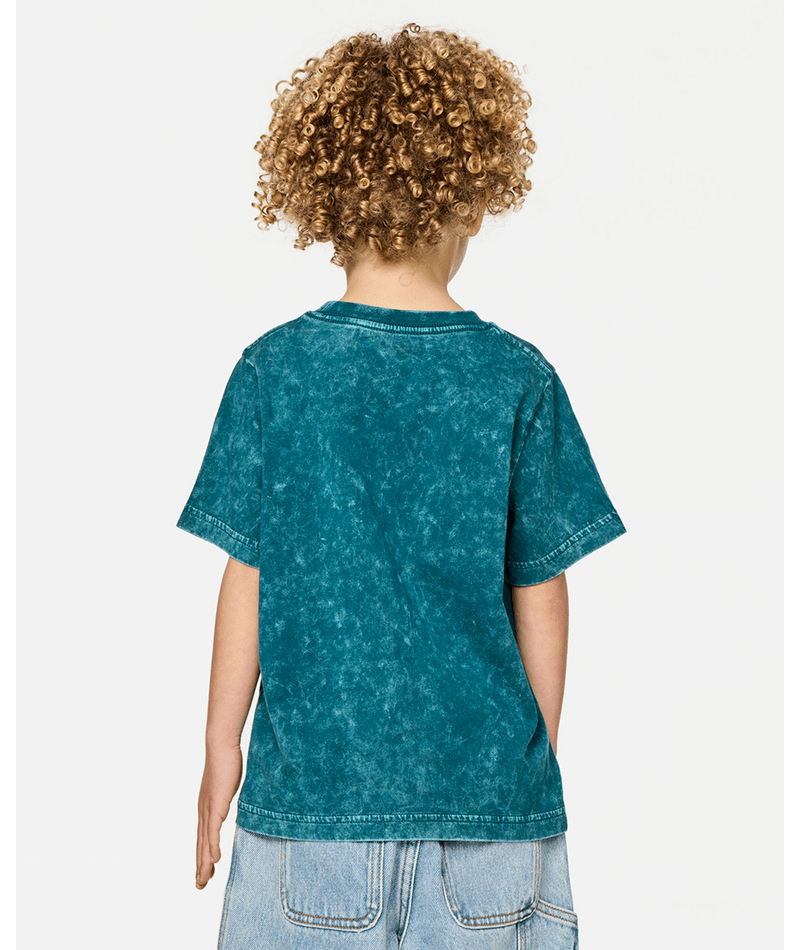 Rip Curl Paddle Out Wash Tee-Boy in BLUE GREEN