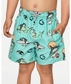 Rip Curl Paddle Out Volley-Boy in AQUA