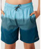 Rip Curl Dip Volley-Boy in BLUE GREEN