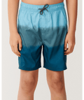 Rip Curl Dip Volley-Boy in BLUE GREEN