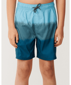Rip Curl Dip Volley-Boy in BLUE GREEN