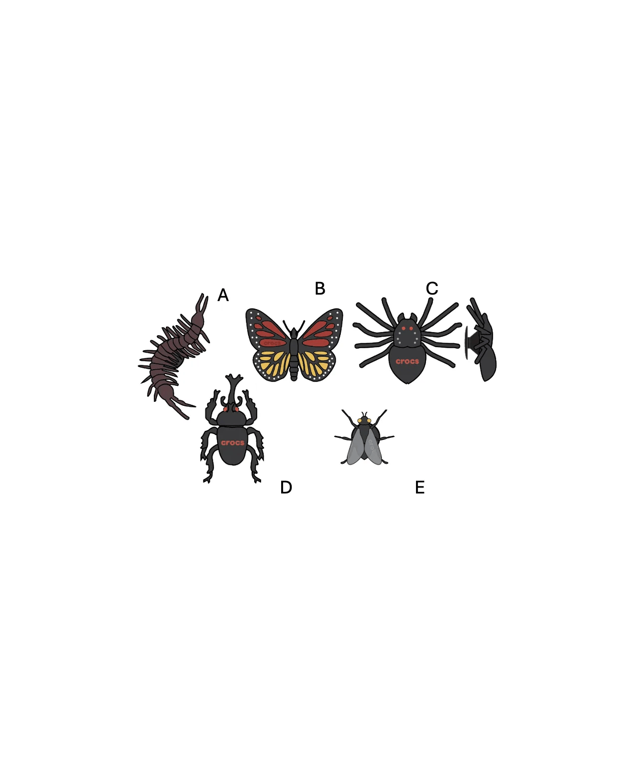 Crocs Dark Bugs 5 Pack in NO COLOR APPLICABLE