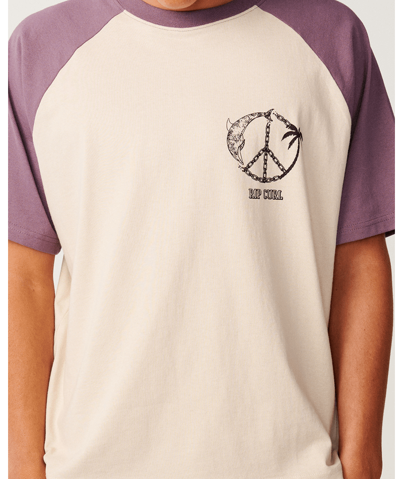 Rip Curl Disorder Dolphin Tee in VINTAGE WHITE