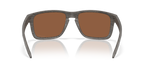 Oakley HOLBROOK XXL WOODGRAIN PRIZM T in Woodgrain