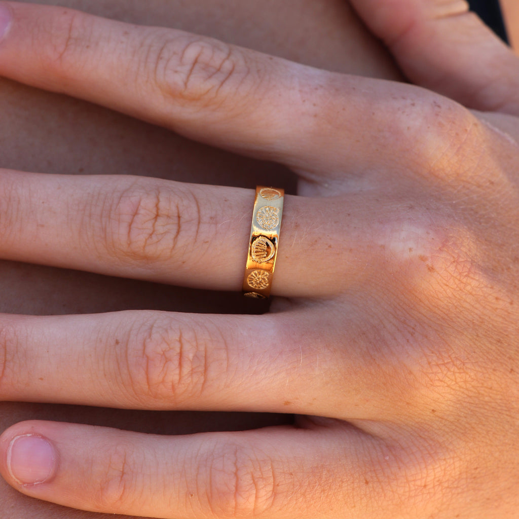 MiKi Jewellery Coral Cove Gold Ring in Single