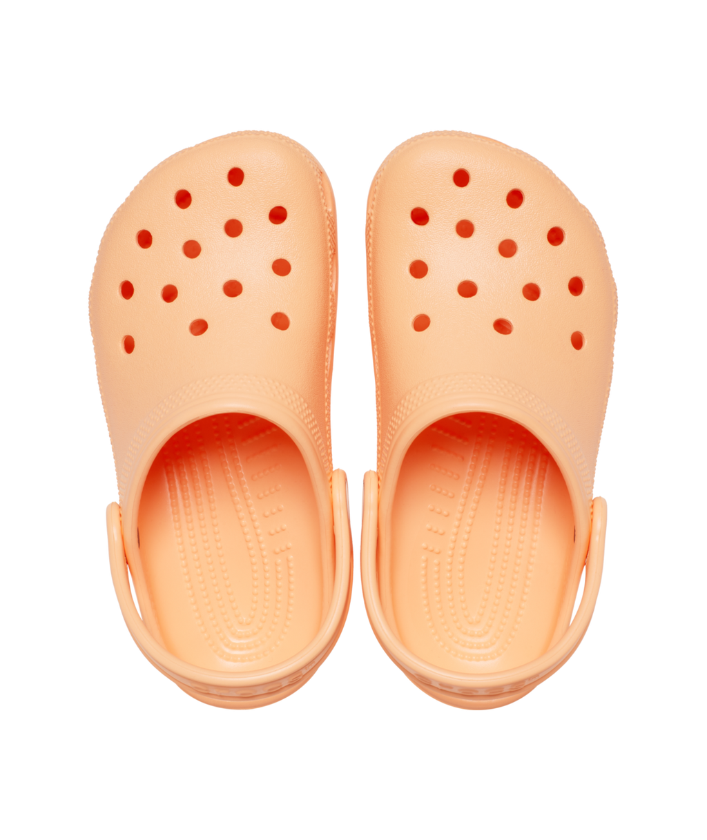 Crocs Classic Clog T Ess in Electric Sunstone