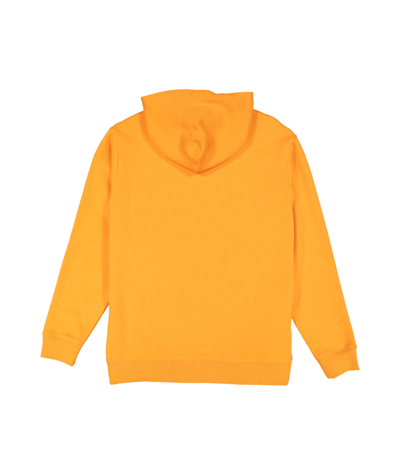 Billabong Spec Bio Arch Pop Hood in DUSTY ORANGE