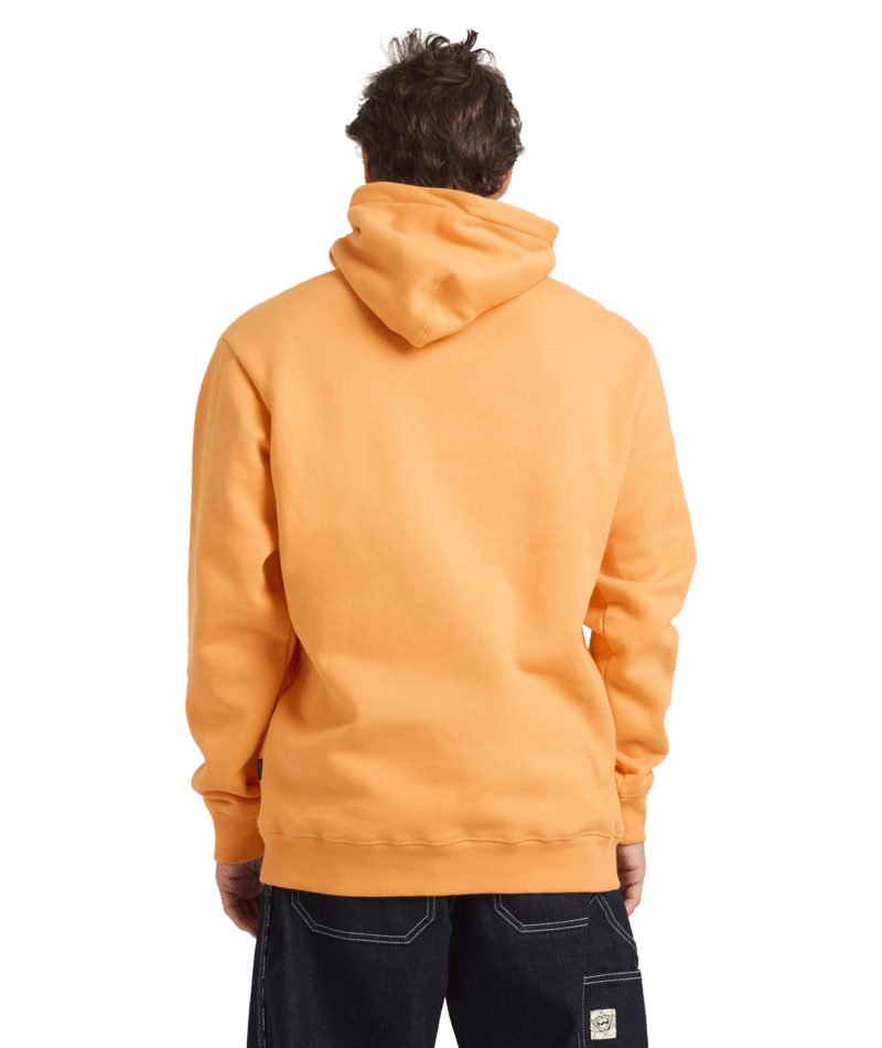 Billabong Spec Bio Arch Pop Hood in DUSTY ORANGE