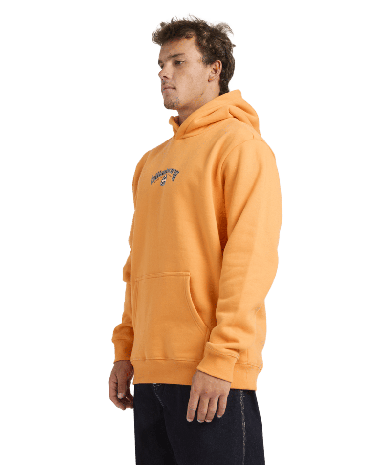 Billabong Spec Bio Arch Pop Hood in DUSTY ORANGE