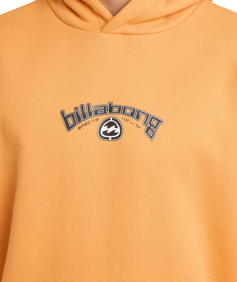Billabong Spec Bio Arch Pop Hood in DUSTY ORANGE