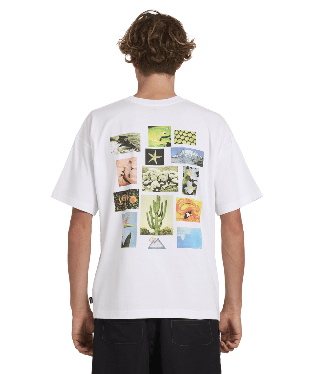 Billabong Mens A/Div Moments T-Shirt in White