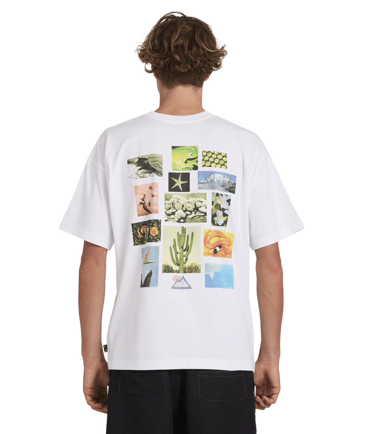 Billabong Mens A/Div Moments T-Shirt in White