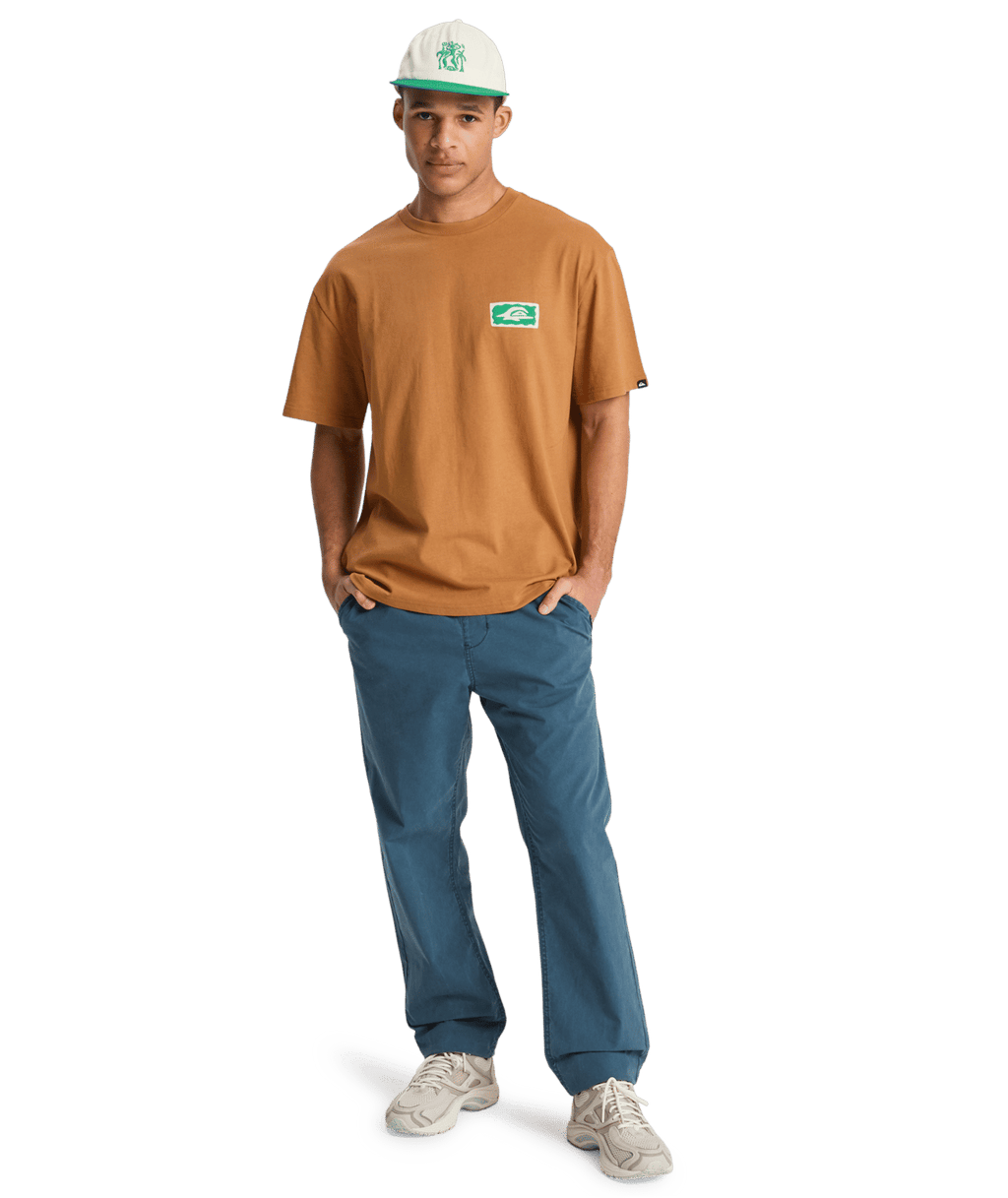 Quiksilver Mens Serenity Splash T-Shirt in Tobacco Brown