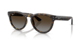 Ray-Ban® HAVANA POLAR LIGHT GREY GRADIE in Havana