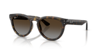 Ray-Ban® HAVANA POLAR LIGHT GREY GRADIE in Havana