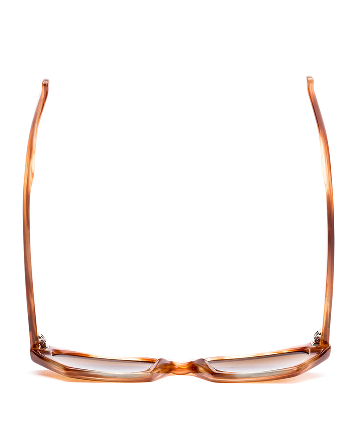 OTIS SELENA - Eco Ochre Havana / Brown in ECO OCHRE HAVANA/BROWN