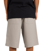 Billabong Mens Spec Bio Twill Walkshorts in ASH