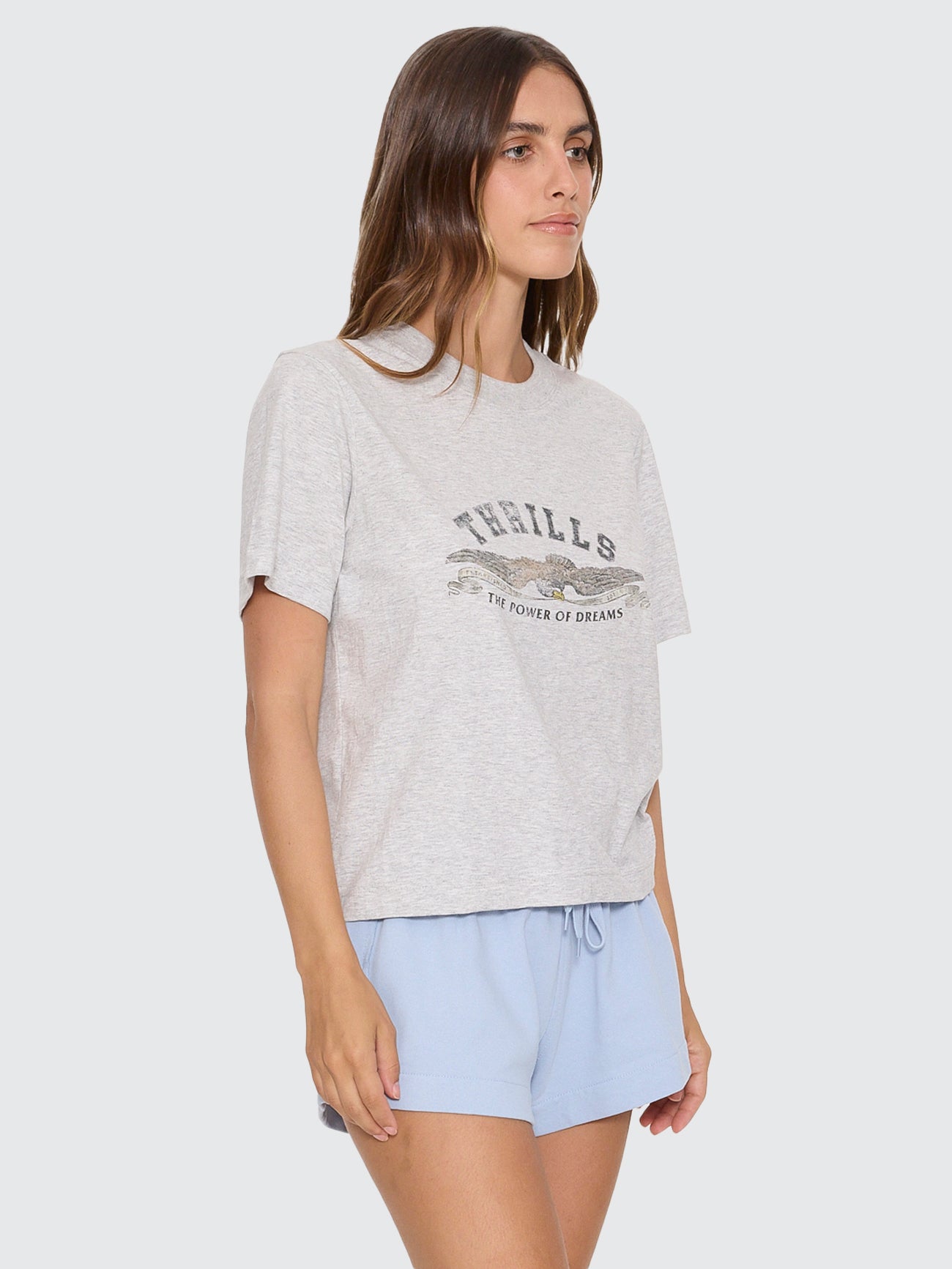 Thrills Co The Power of Dreams Essential Tee - Snow Marle in Snow Marle