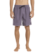 Billabong Mens All Day Overdye Layback 17" Boardshorts in Steel Purple