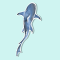 Trevena & Co Thresher Shark Watercolour Vinyl Sticker in Single
