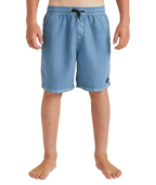 Billabong ALL DAY OVD LB in Steel Blue