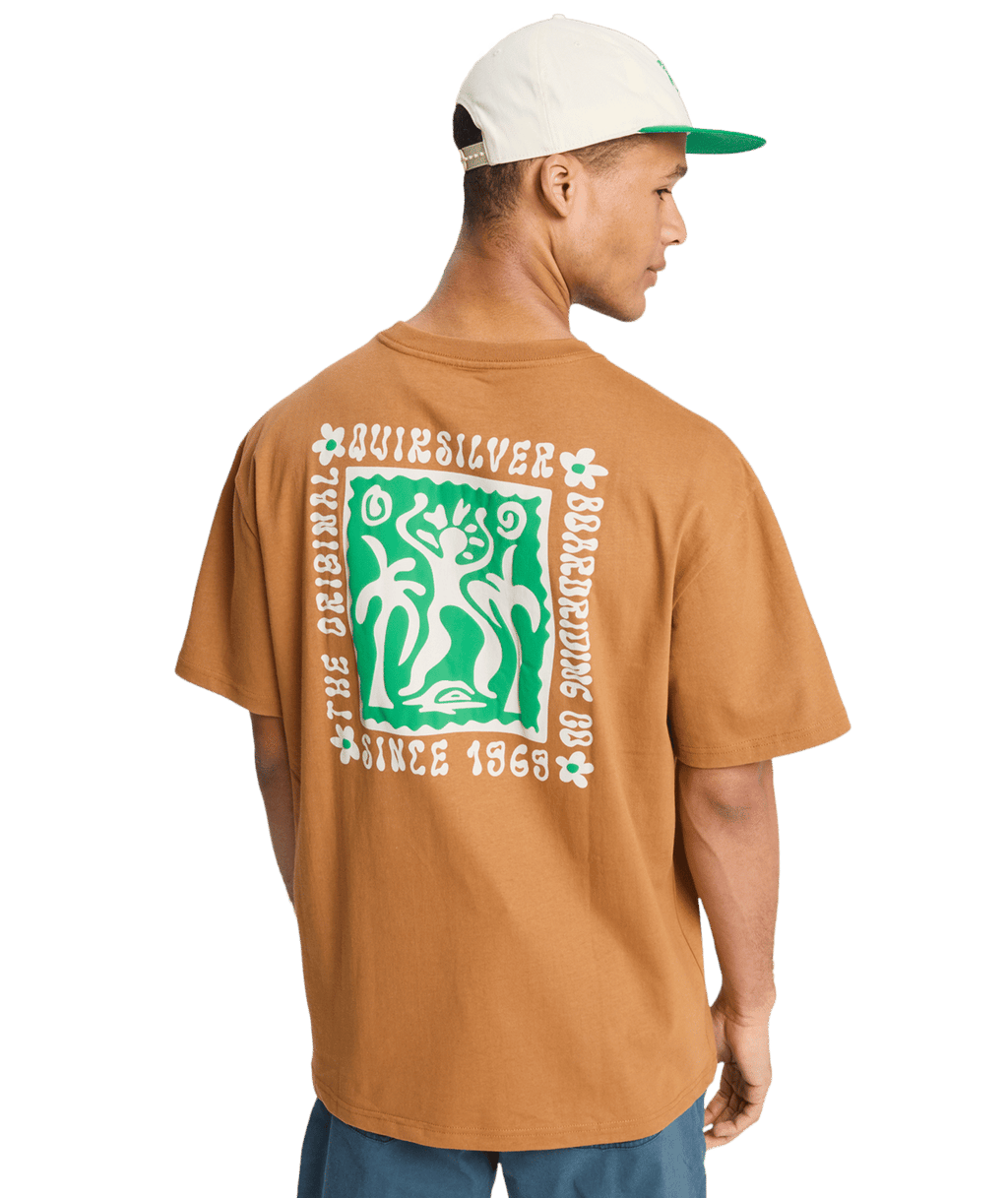 Quiksilver Mens Serenity Splash T-Shirt in Tobacco Brown