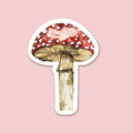 Trevena & Co Mushroom Watercolour Vinyl Sticker in Single