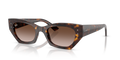 Ray-Ban® ZENA HAVANA GRADIENT BROWN in Havana
