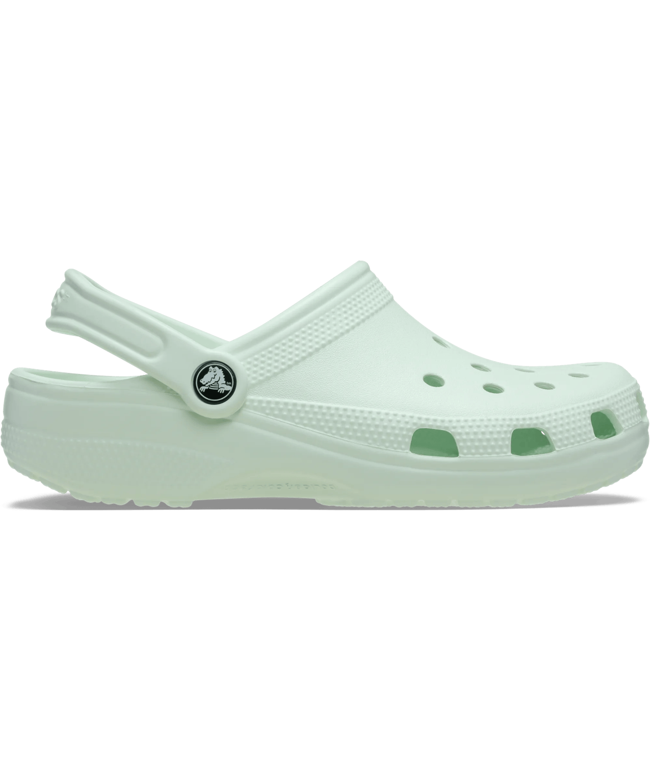 Crocs Classic - Mint Tint in Mint Tint