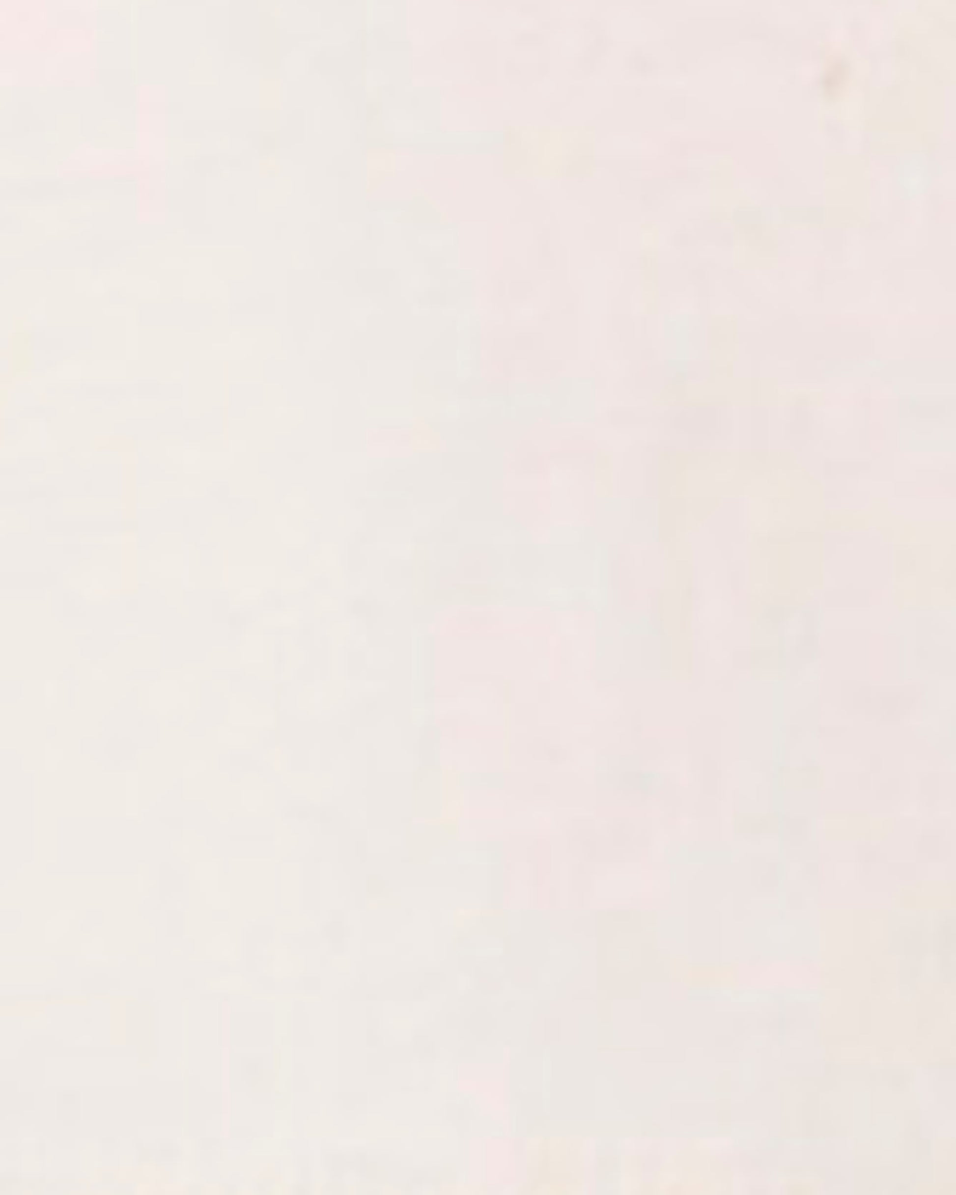 Abrand Jeans Love Buzz Raglan in WHITE/NAVY