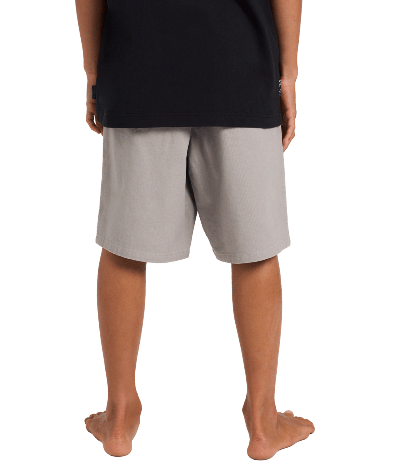 Billabong Boys Spec Bio Twill Ws in ASH