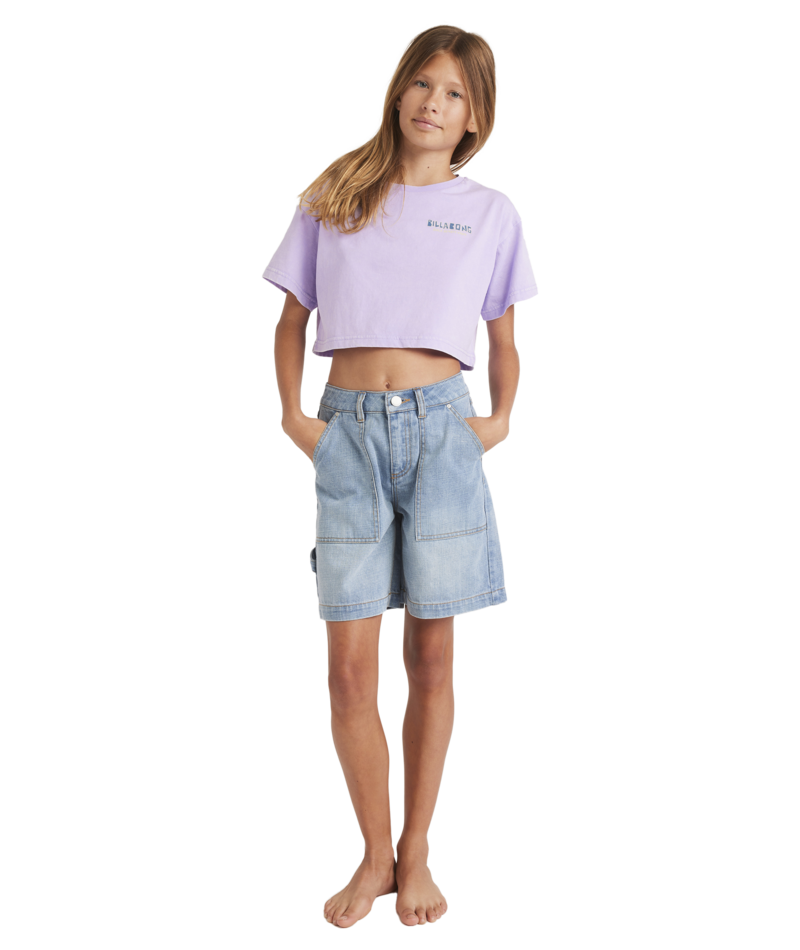 Billabong Mixing Vibes Crop Tee in LIGHT PURPLE