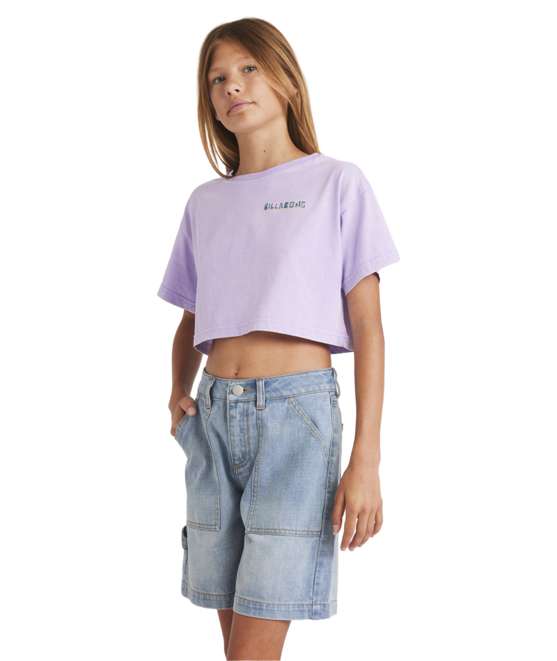 Billabong Mixing Vibes Crop Tee in LIGHT PURPLE