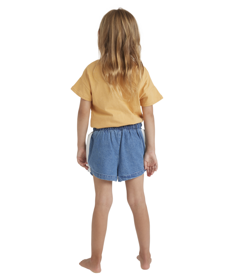 Billabong Skies Olly Short in SALT WASHED