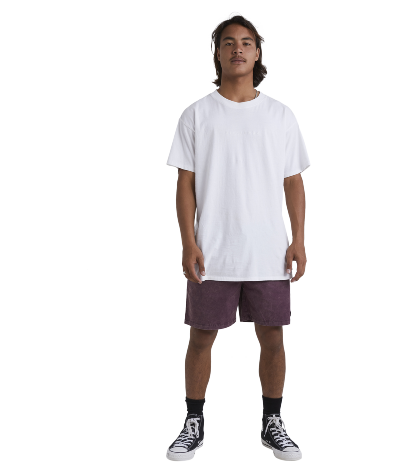 Billabong Mario 2.0 in Burgundy