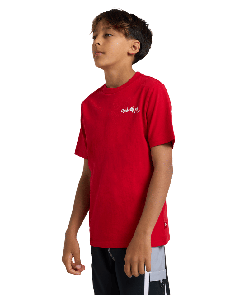 Quiksilver Yg Spray Ss Youth in SALSA