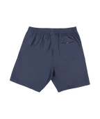 Quiksilver Everyday Vert 2.0 Volley 17 in MOOD INDIGO