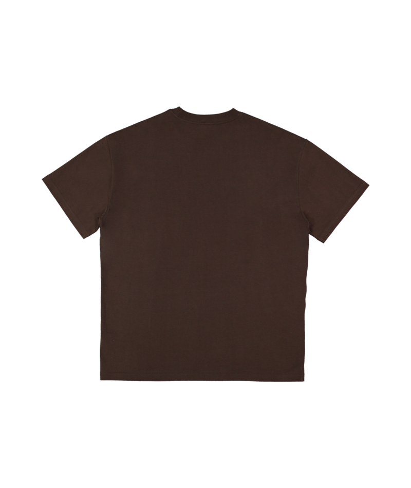 Quiksilver The Void Ss in CHOCOLATE BROWN