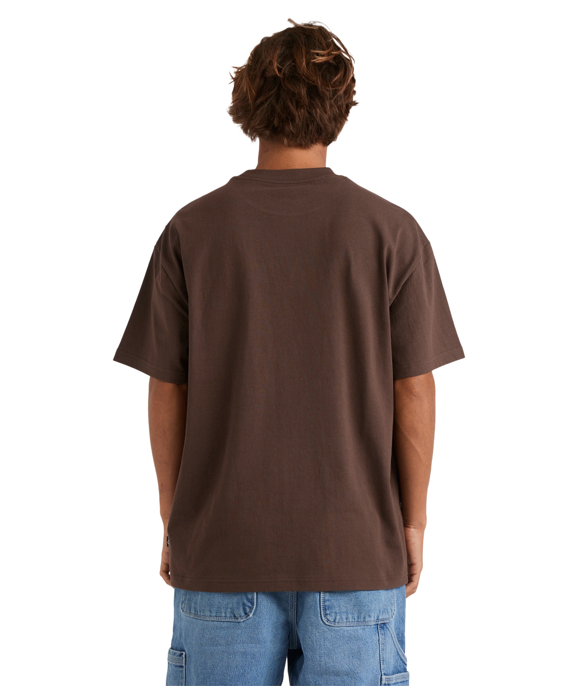 Quiksilver The Void Ss in CHOCOLATE BROWN