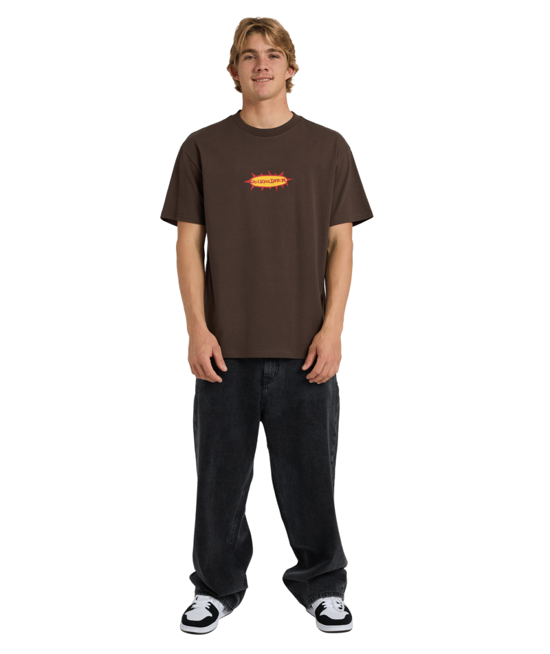 Quiksilver Drainer Ss Tee in TURKISH COFFEE
