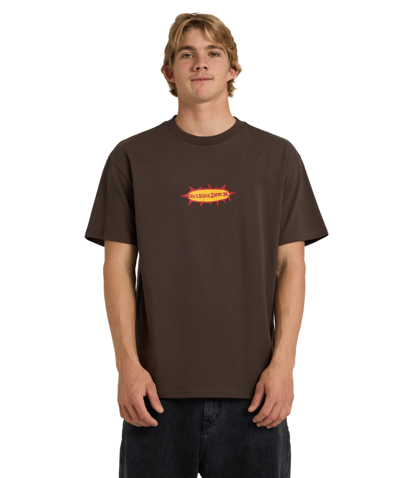 Quiksilver Drainer Ss Tee in TURKISH COFFEE