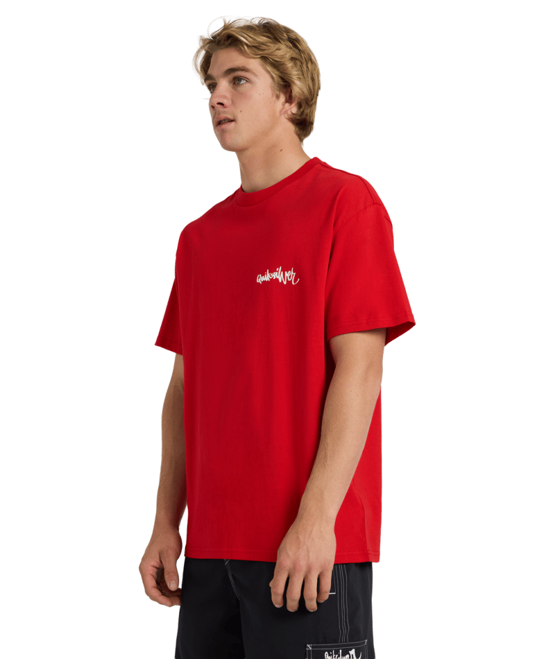 Quiksilver Yg Spray Ss Tee in SALSA