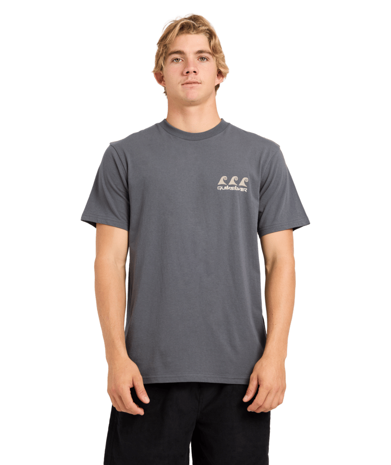 Quiksilver Natural Elements Ss in TARMAC