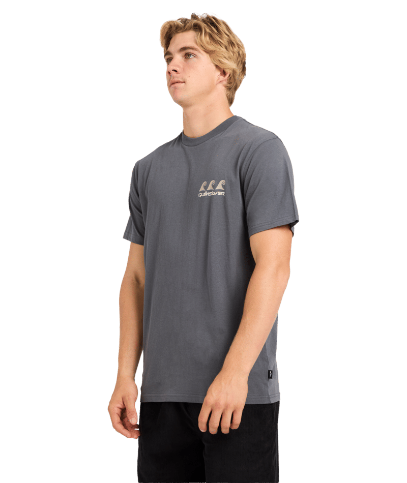 Quiksilver Natural Elements Ss in TARMAC