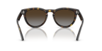 Ray-Ban® HAVANA POLAR LIGHT GREY GRADIE in Havana
