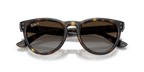 Ray-Ban® HAVANA POLAR LIGHT GREY GRADIE in Havana
