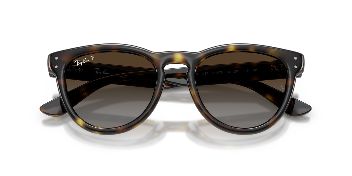 Ray-Ban® HAVANA POLAR LIGHT GREY GRADIE in Havana