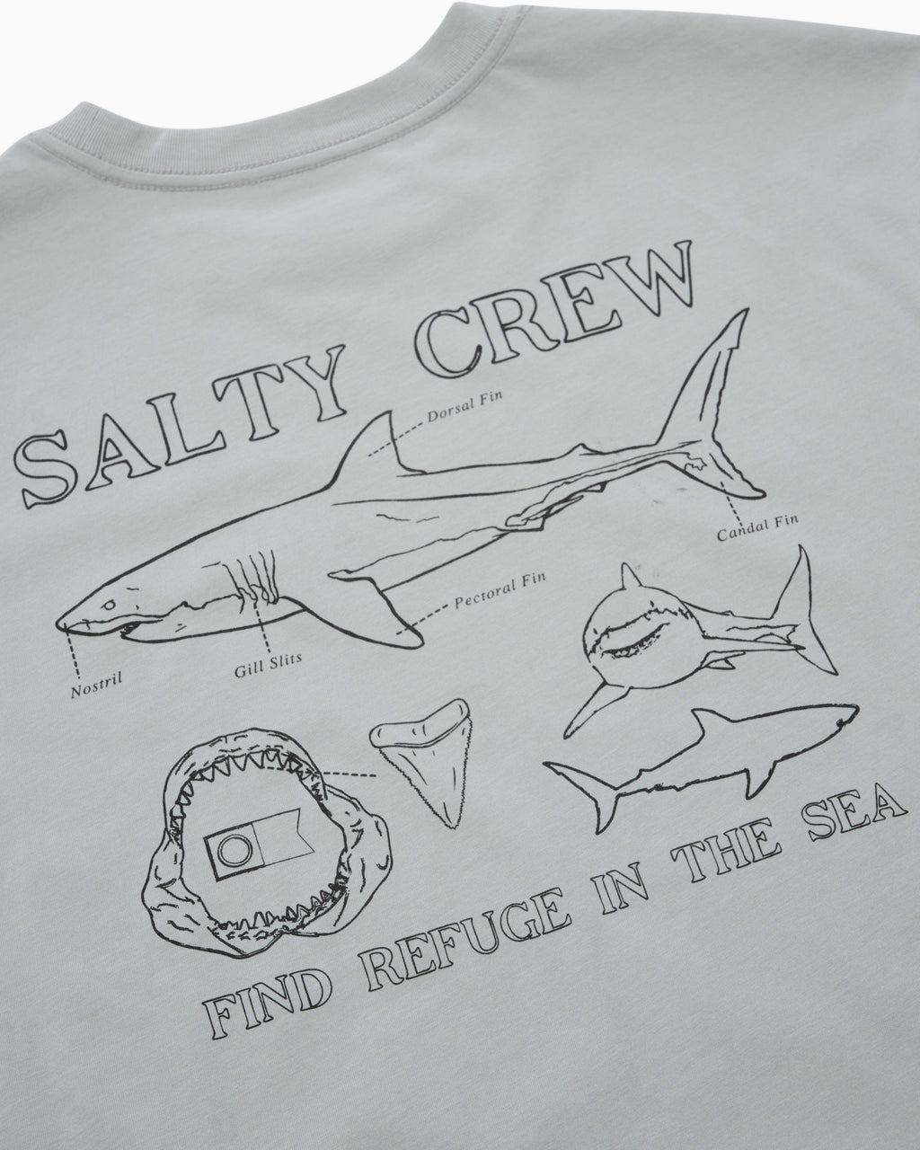 Salty Crew GREAT WHITE CLASSIC SS TEE in QUARRY