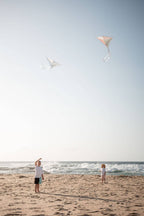 Coast Kids Traditional Kite - Kirra - Made from Recycled Plastic Bottle in Purple
