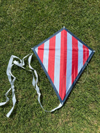 Coast Kids Traditional Kite - Kirra - Made from Recycled Plastic Bottle in Purple